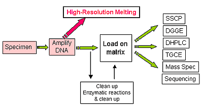 MeltingCurve